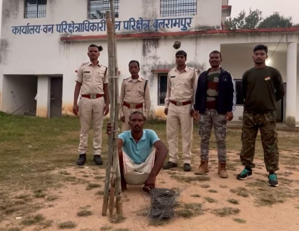 Dcgnews WhatsApp-Image-2024-11-12-at-8.59.54-PM-1024x790 बलरामपुर में हाथी की करंट से मौत पर वन्य प्राणी संरक्षण अधिनियम के तहत मामला दर्ज