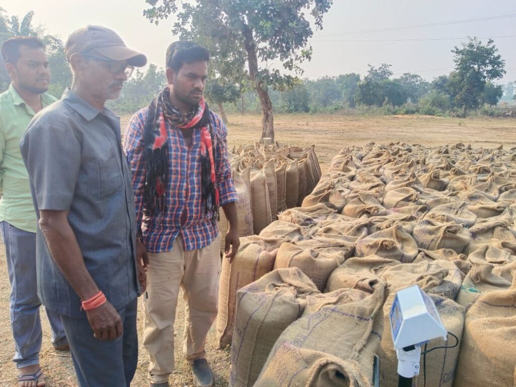 Dcgnews WhatsApp-Image-2024-11-25-at-9.09.14-PM-1024x768 धान खरीदी अभियान: 2.28 लाख क्विंटल धान की हुई खरीदी, किसानों को 52 करोड़ का भुगतान