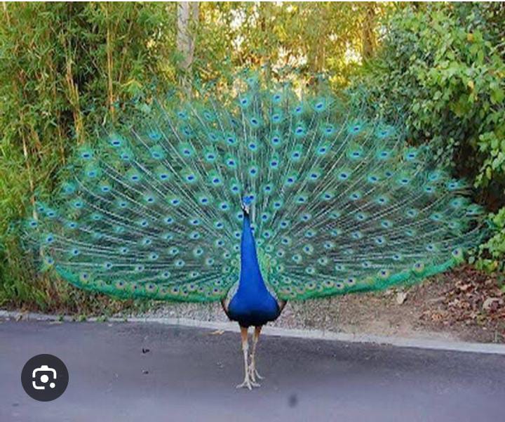 Dcgnews IMG-20241201-WA0039 कविता स्पेशल